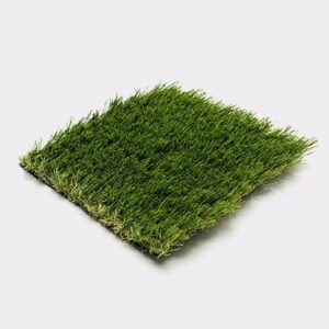 Elite Cool Grass